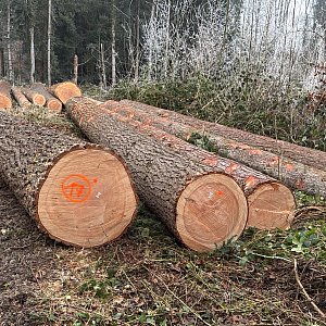 D0F44E33-2217-47AF-A3DF-60E8C3E8644F